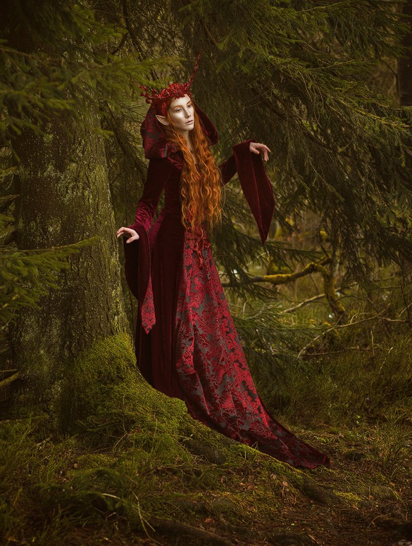 Red Velvet Gothic Hooded Medieval Dress Devilnight.co.uk