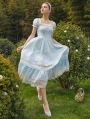 Cinderella BLue and White Lace Vintage Princess Long Dress