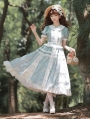 Blue Plaid Cotton Floral Print Bow Embroidery Classic Lolita OP Dress