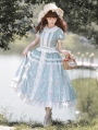 Blue Plaid Cotton Floral Print Bow Embroidery Classic Lolita OP Dress