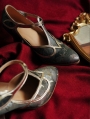 Golden Gray Embroidery Victorian T-Strap Heeled Victorian Shoes