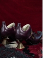 Purple and Golden Buckle Pointed Toe Victorian Shoes