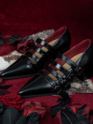 Black Pointed Toe Witch Gothic Strap Victorian Shoes