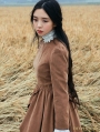 Brown Long Sleeves Vintage Medieval Dress